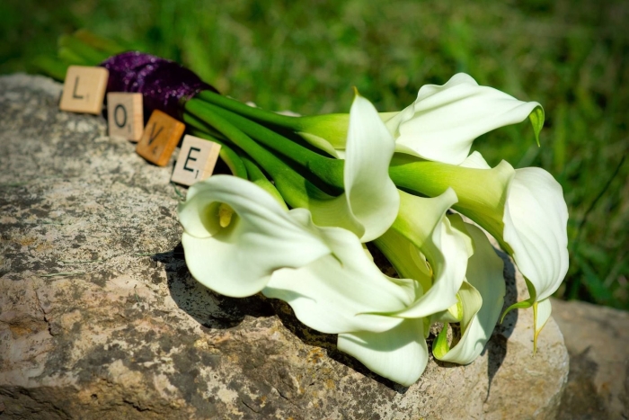 Букет белые каллы