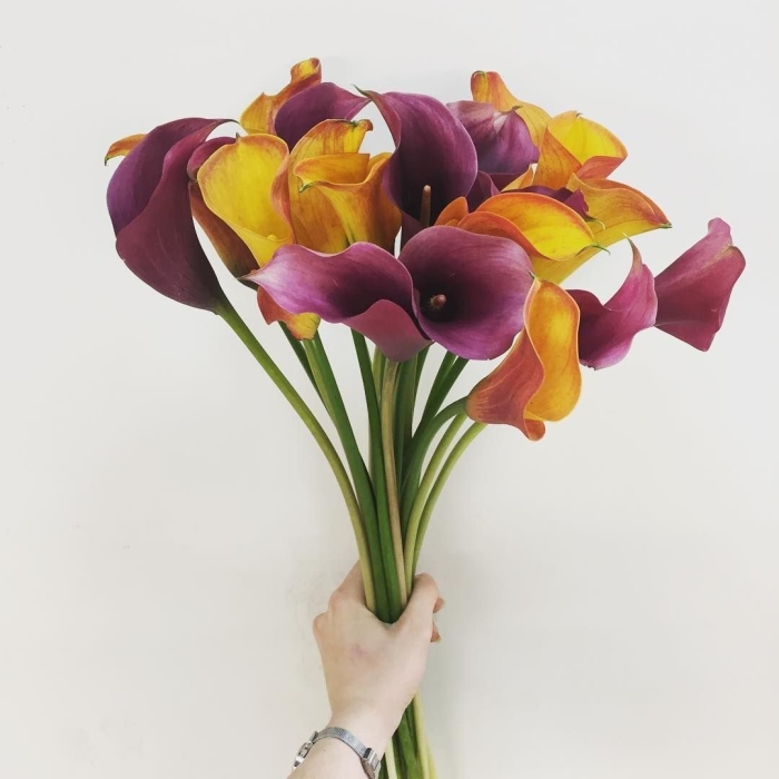 Букет  каллы и краспедия