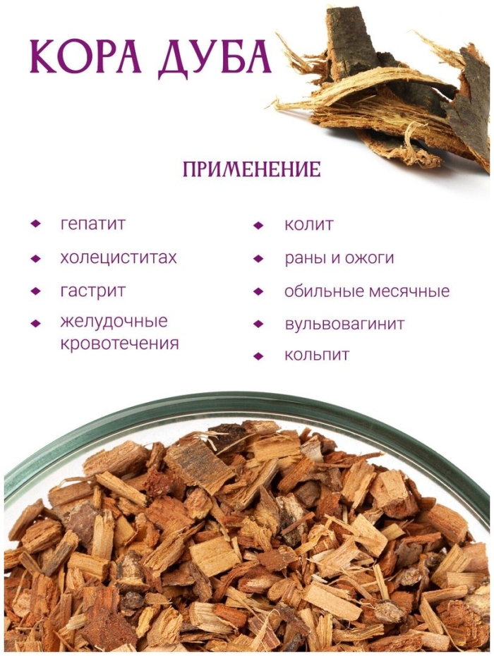 Дуб обыкновенный кора