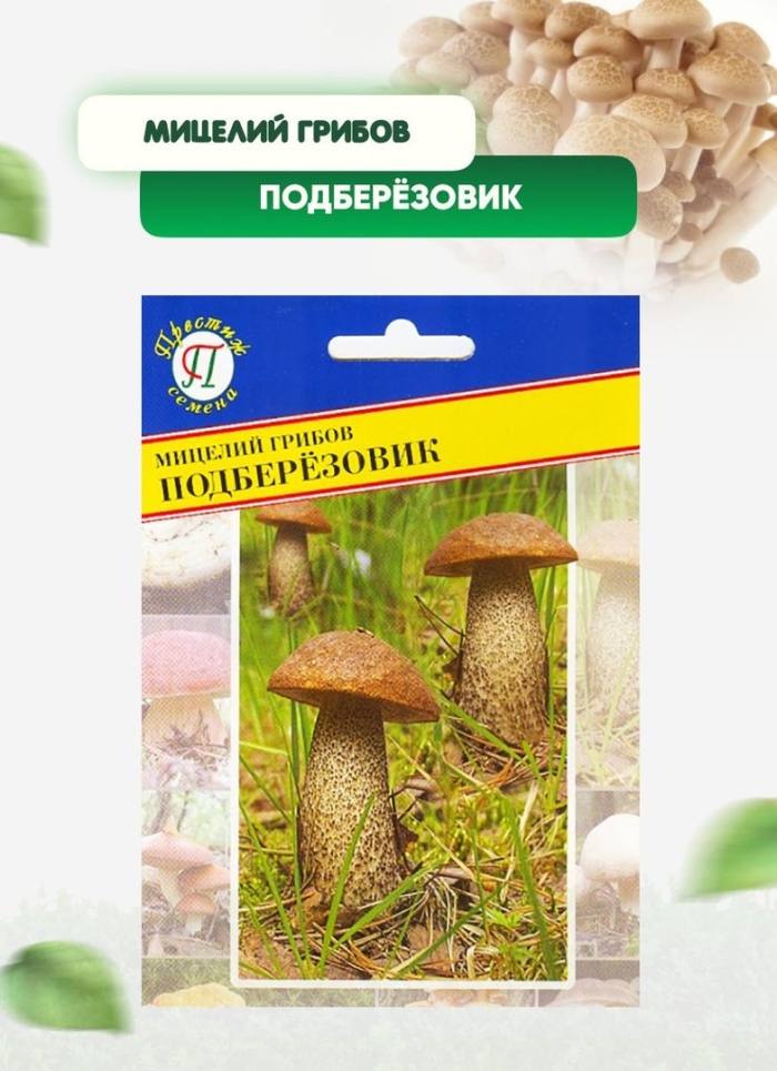 Мицелий подберезовик (60мл)