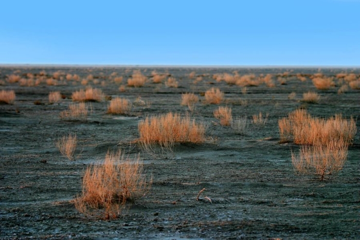 Остров барсакельмес аральское море