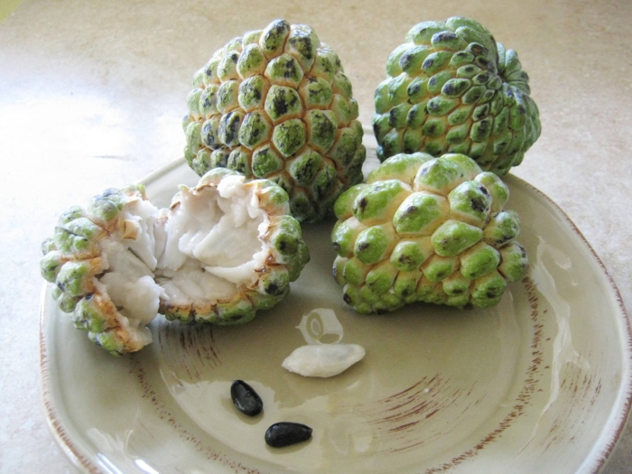 Custard apple фрукт