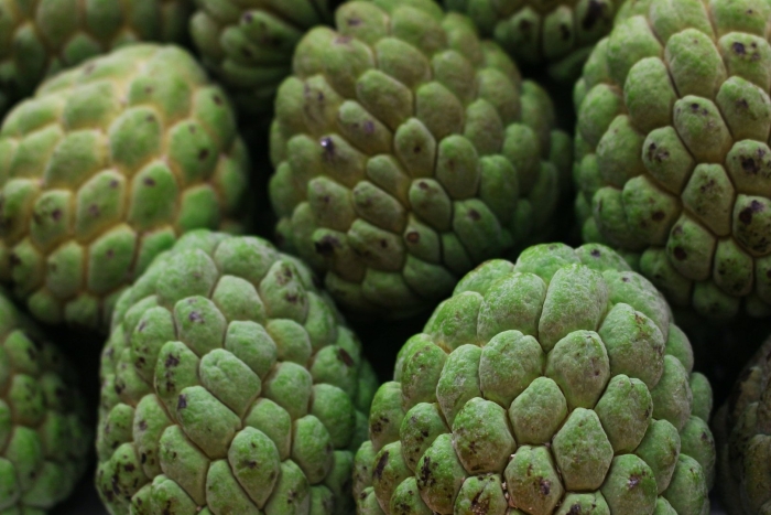 Custard apple фрукт