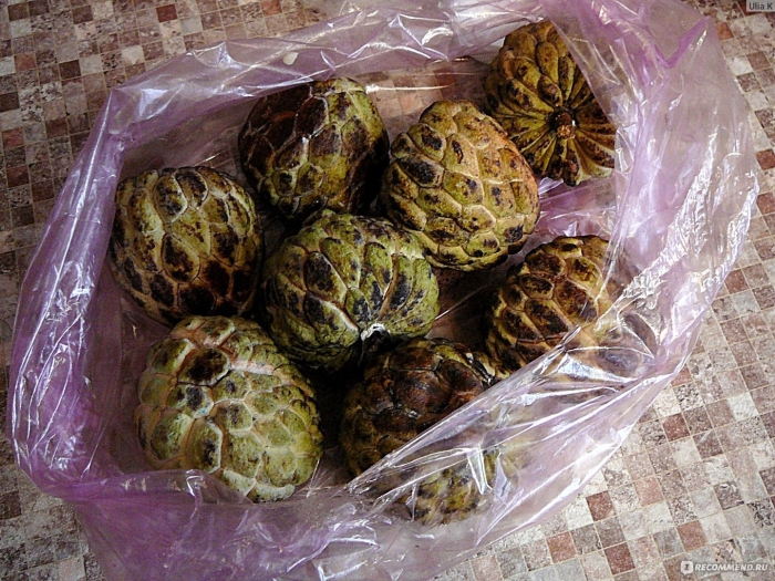 Эшта фрукт египет