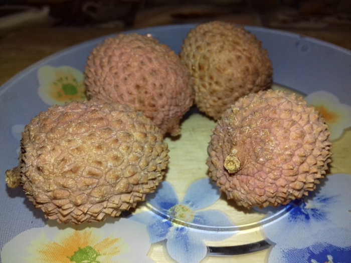 Фрукт похожий на шишку