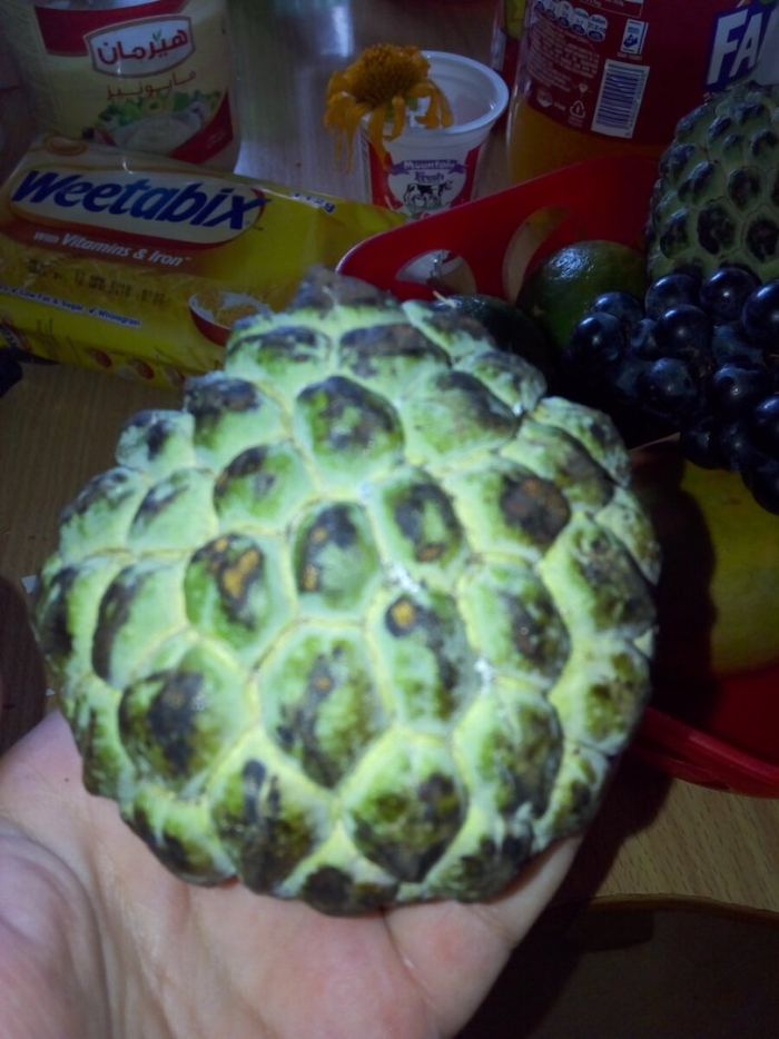 Шишка фрукт