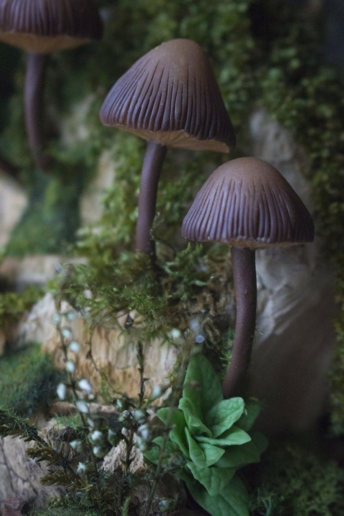 Mycena purpureofusca