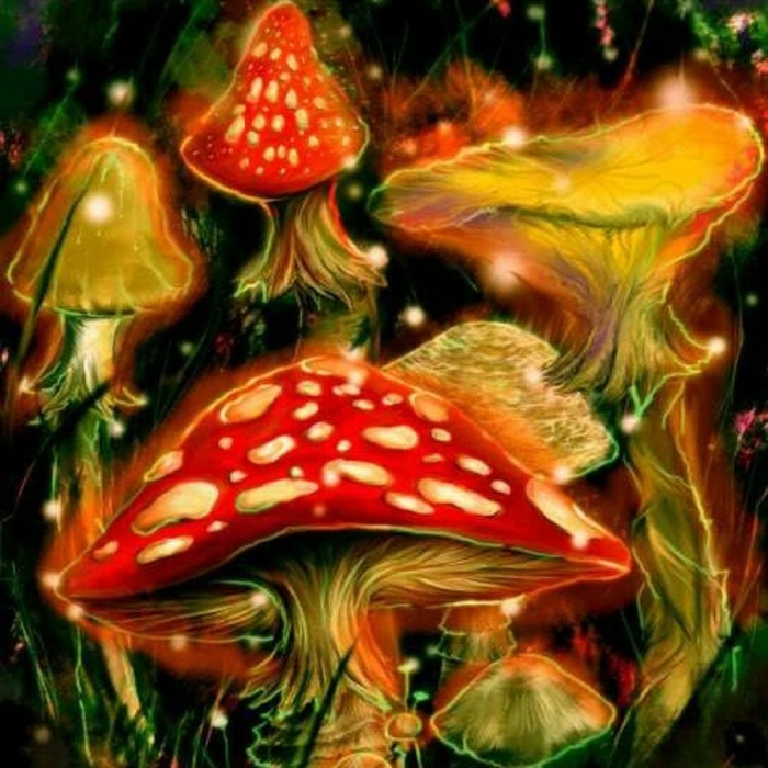 Мухомор аманита мускария