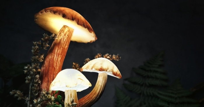 Люминесцентные грибы