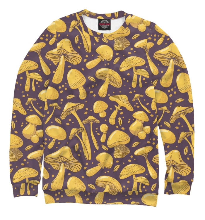 Одежды свитшоты