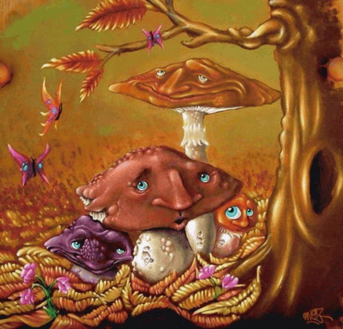 Аманита мускария психоделика