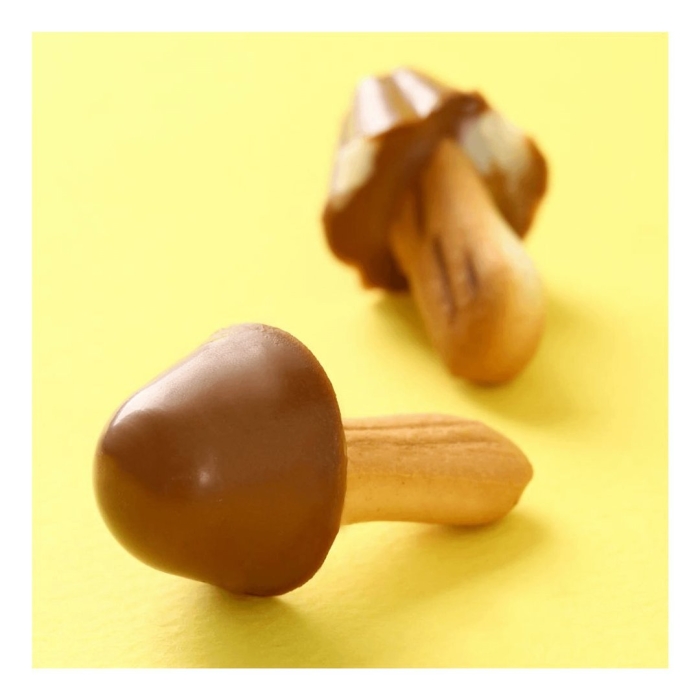 Грибочки печенье орион