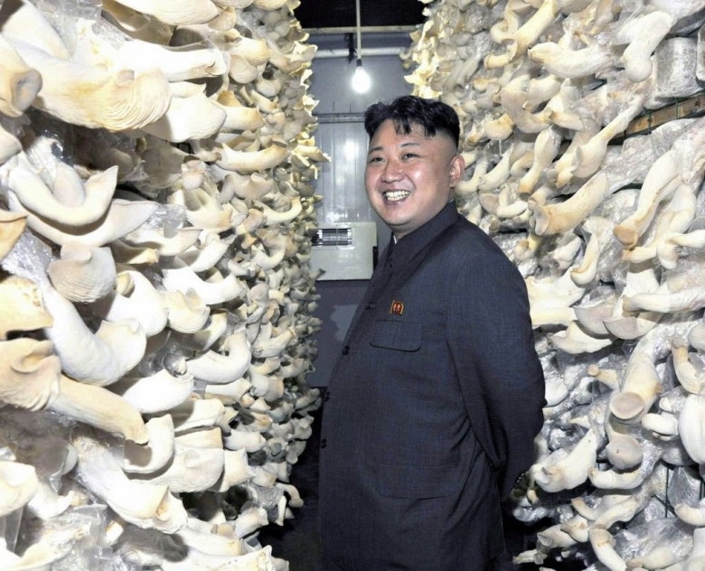 Стрижка Южная Корея грибочек