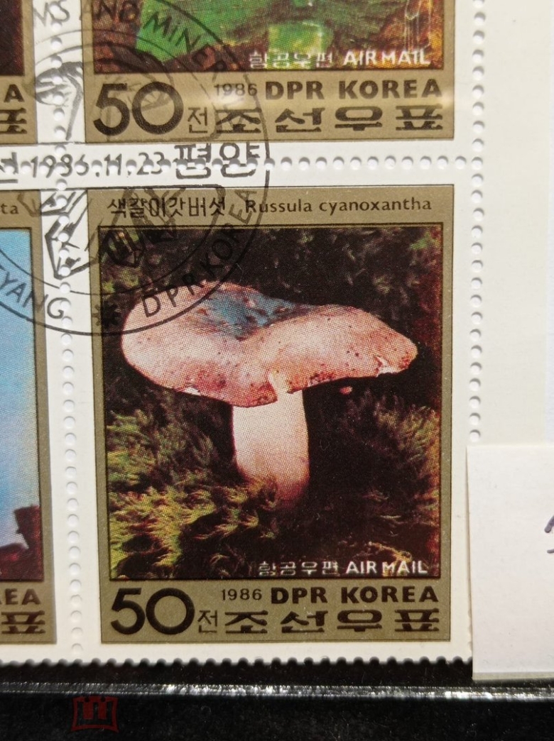 Марка грибы корея года