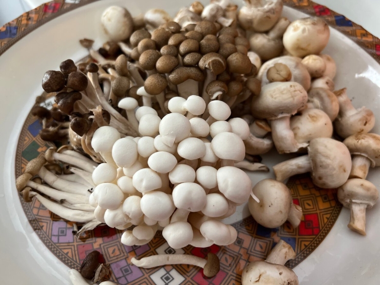 Шииджигрибы шимиджи