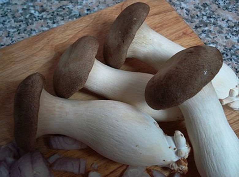 Корейские грибы еринги