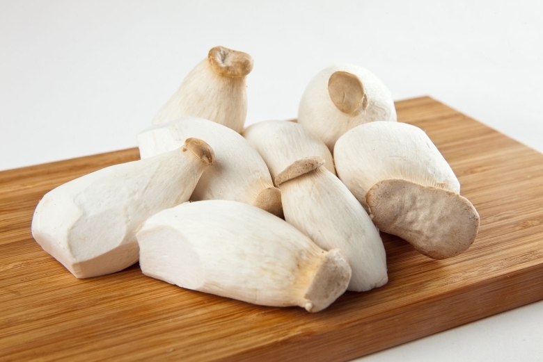 Еринги Королевская вешенка