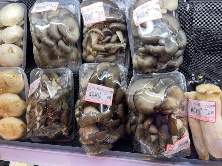 Грибы вешенки г