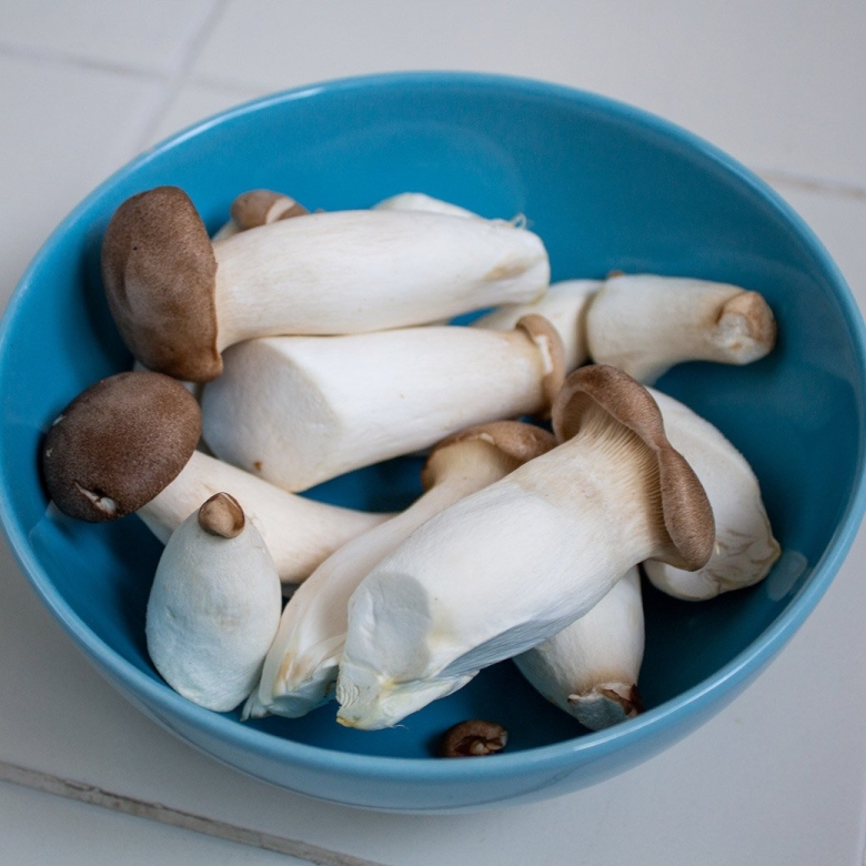 Еринги королевская вешенка