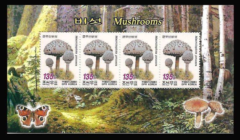 Почтовые марки грибы