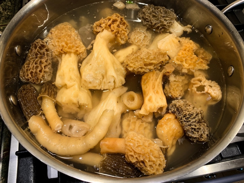 Грибы съедобные корейские