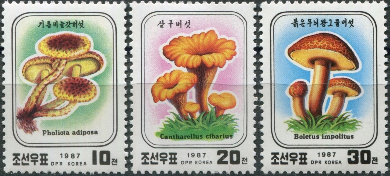 Почтовые марки грибы