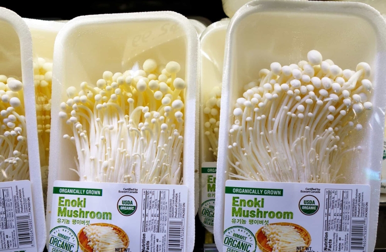 Грибы Эноки магнит