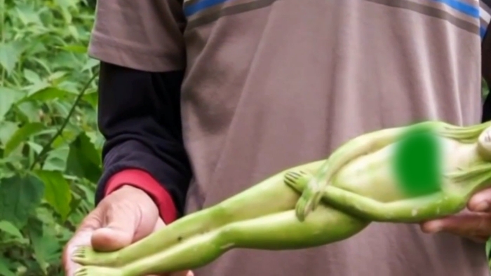 Цветок в форме женщины