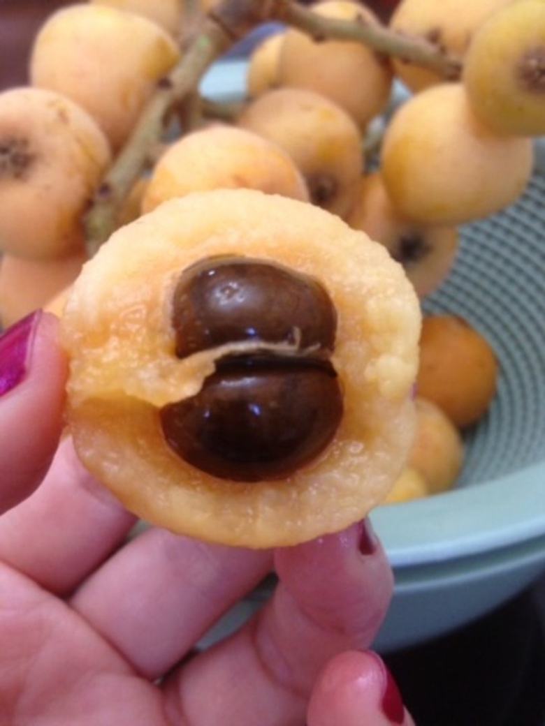 Китайские фрукты название и фото