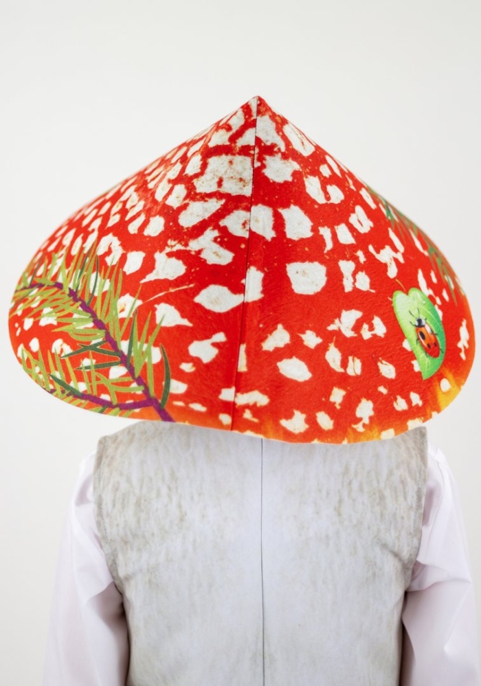 Мухомор шляпка