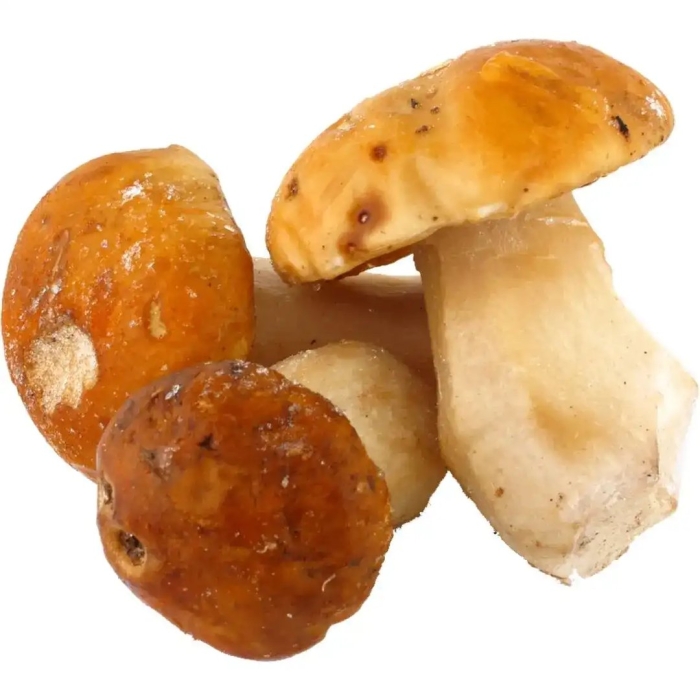 Грибы белый гриб