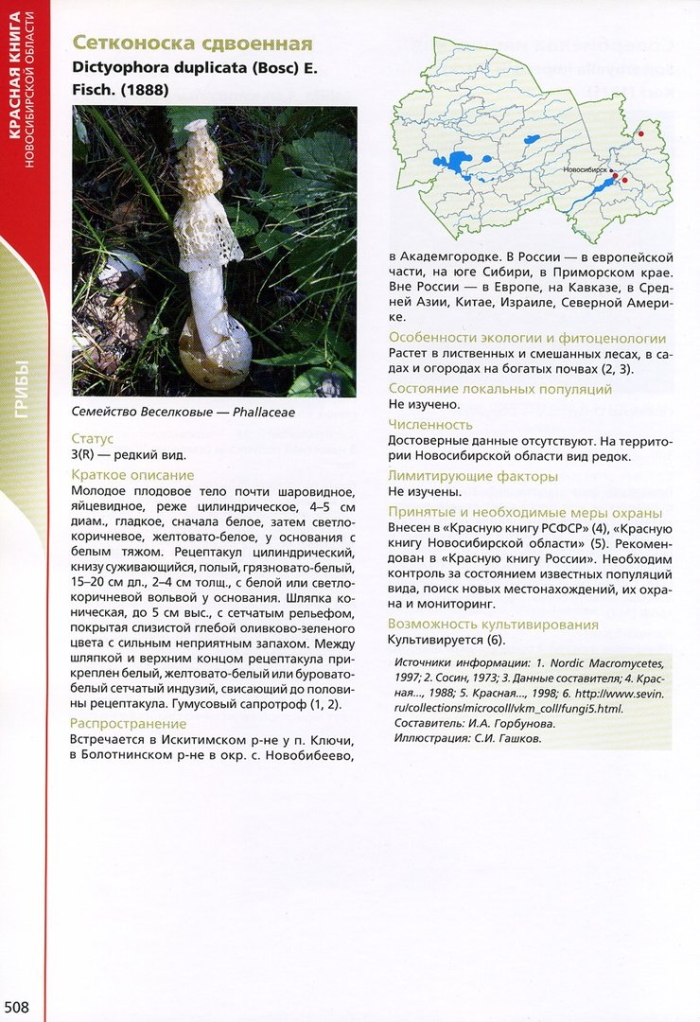 Занесенные в красную книгу грибы новосибирской области