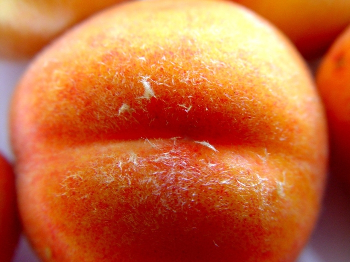 Персик сочный