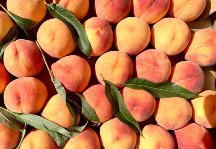 Крымский персик нектарин