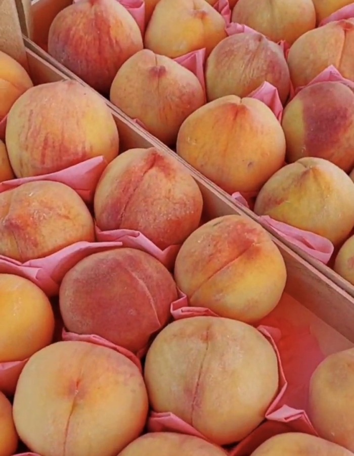 Персики крымские бахчисарайские