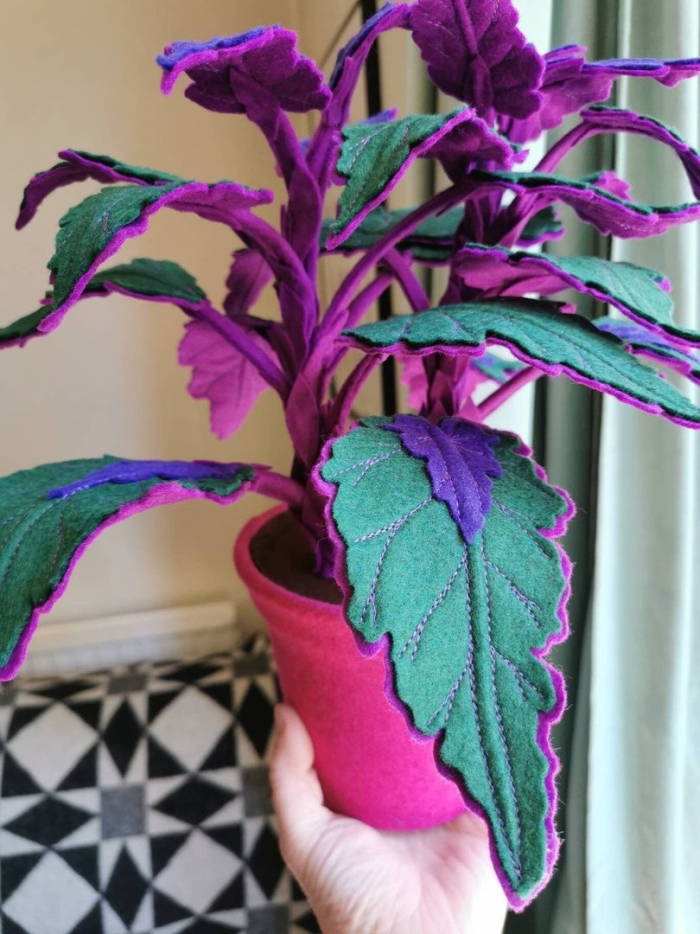 Гинура цветок большой