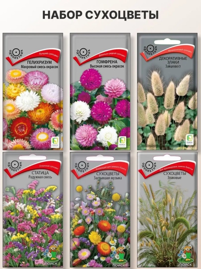 Сухоцветы смесь сухоцветов русский огород