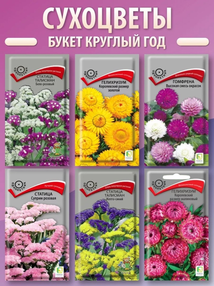 Гелихризум махровый смесь окрасок