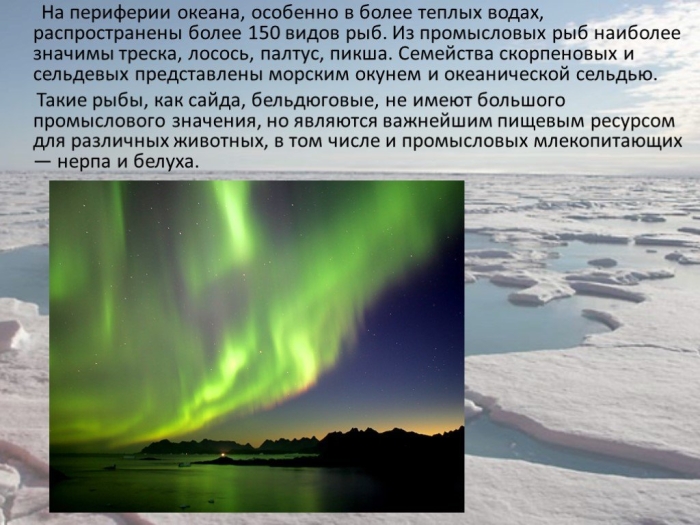 Интересные факты про северный ледовитый океан