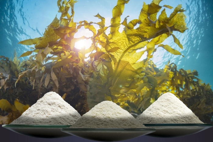 Альгинат водоросли