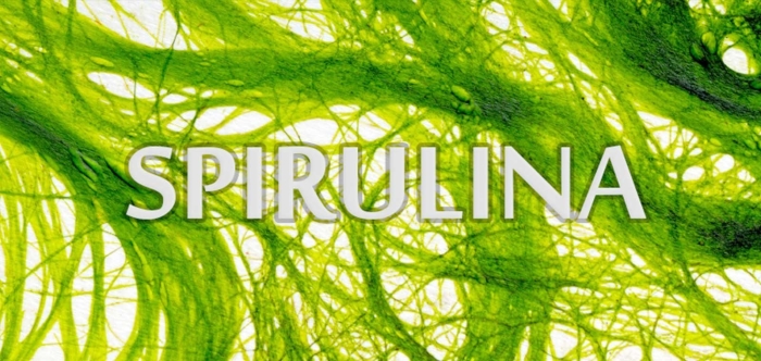 Spirulina водоросль