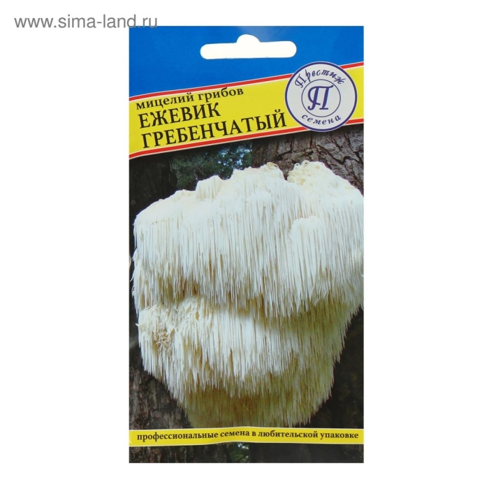 Ежевик гребенчатый мицелий