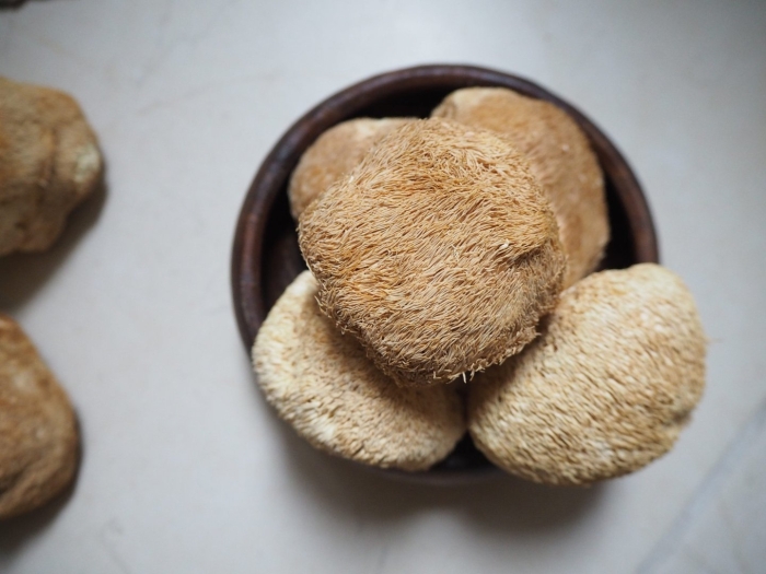 Гриб ежевик гребенчатый