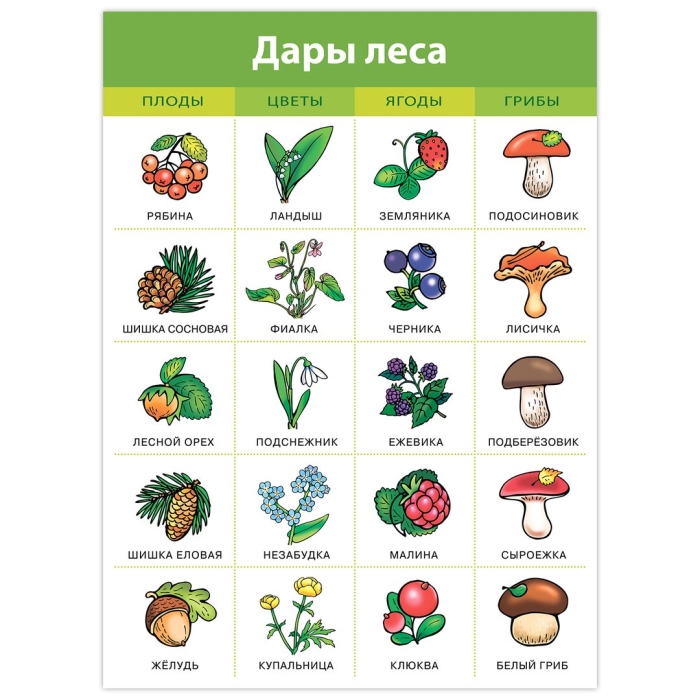 Плакаты для детей обучающие