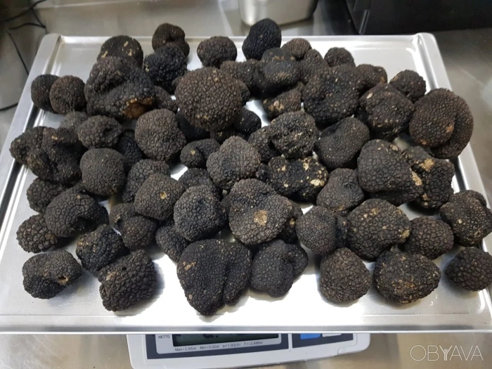 Сушеный трюфель