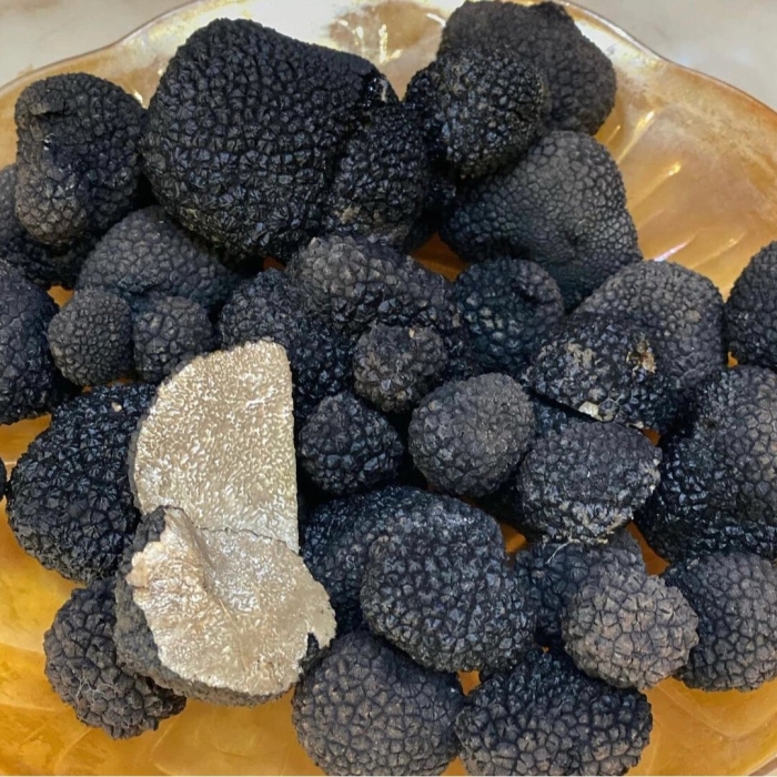 Трюфель перигорский