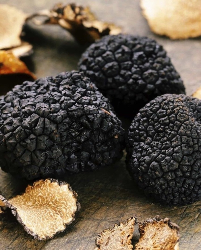 Черный перигорский трюфель