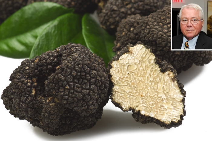 Гриб трюфель