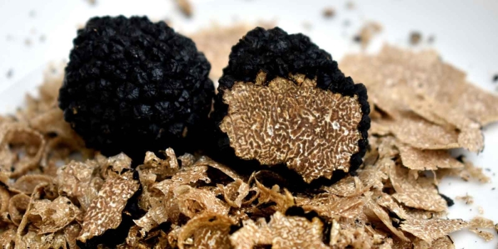 Земляной гриб трюфель