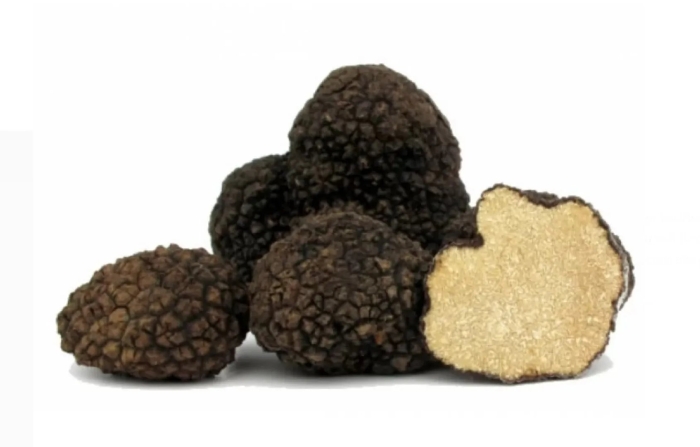Tartufo трюфель грибы